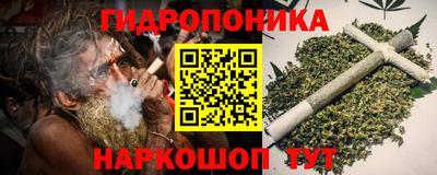 сатива Краснодар