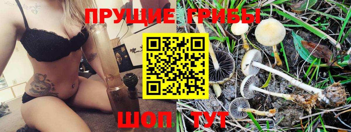 Псилоцибиновые грибы ЛСД Чайковский