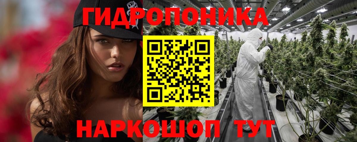 Бошки марихуана гибрид  Марихуана ГИДРОПОН  Вход с VPN  Чайковский  Марихуана гибрид 